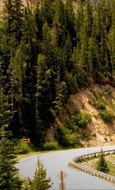 Scenic Drives in Montana and Yellowstone National Park