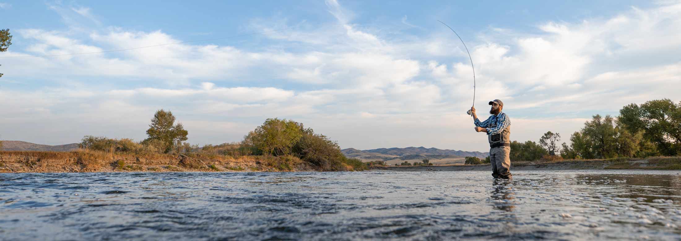 A Naturalist's World