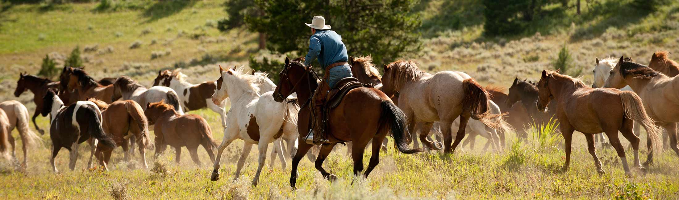 Cache Creek Outfitters