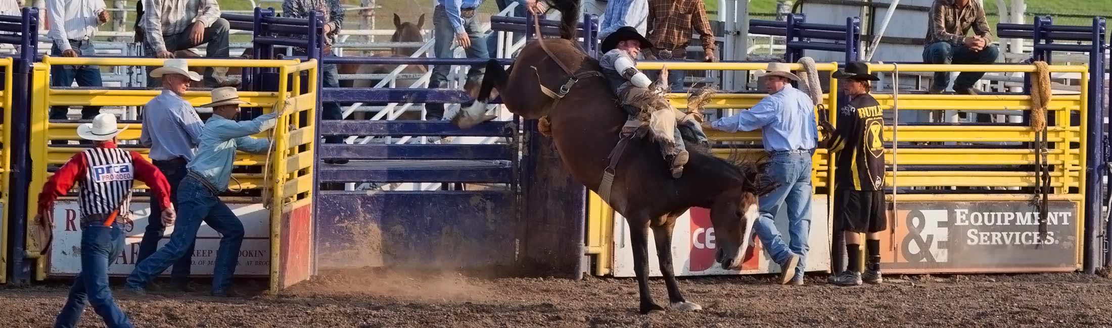 Bozeman Stampede PRCA Rodeo