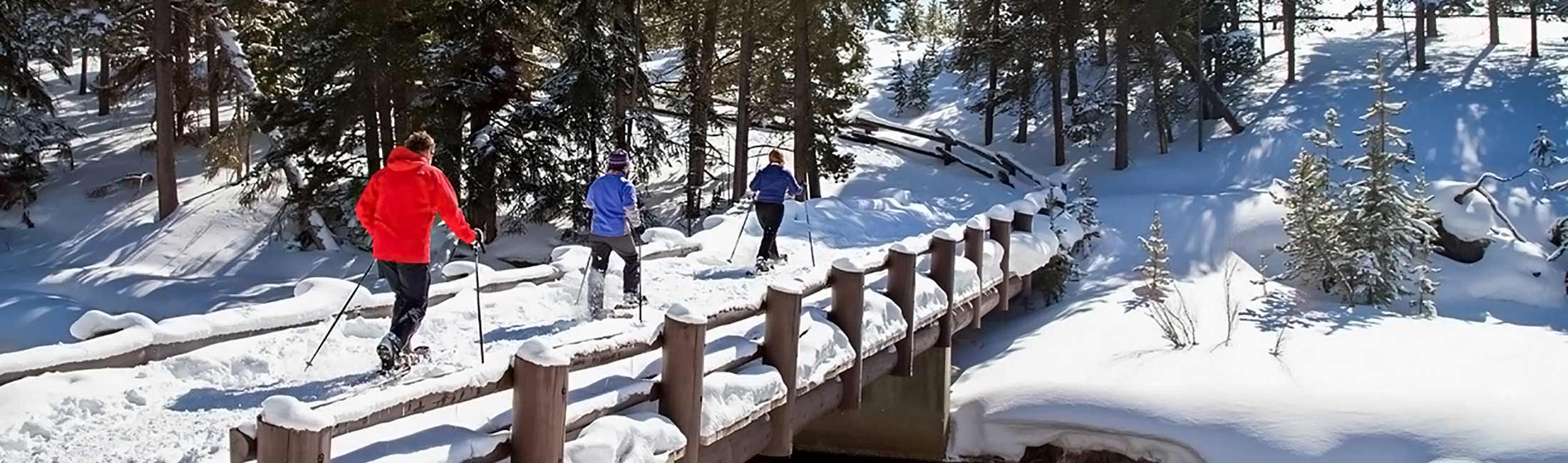 Gallatin Alpine Sports