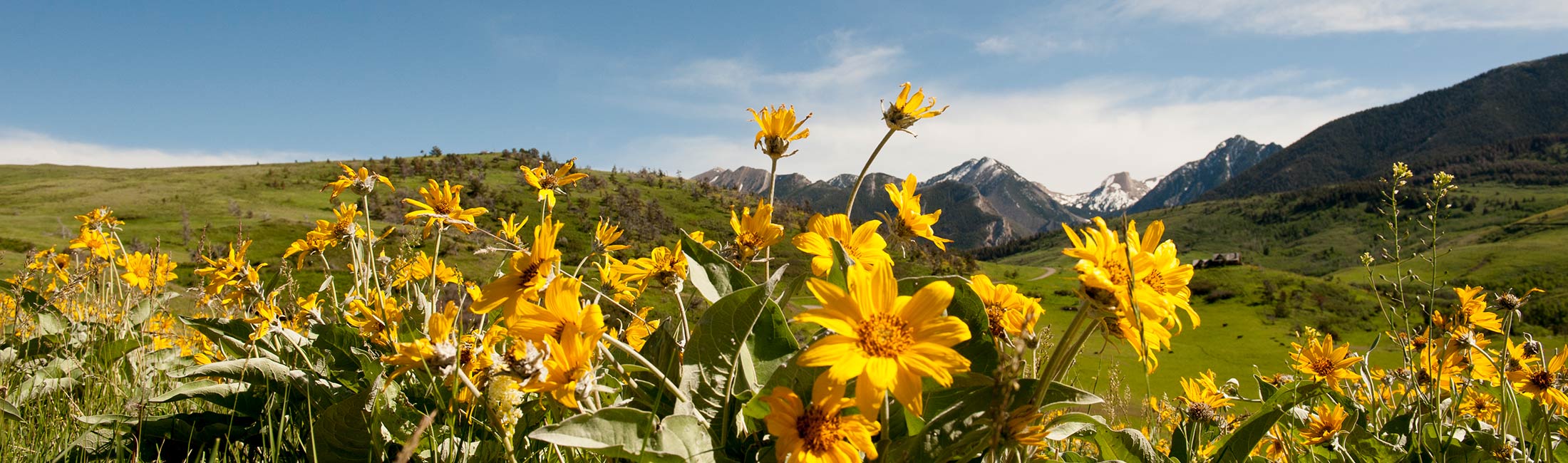 Build a custom Yellowstone Country itinerary