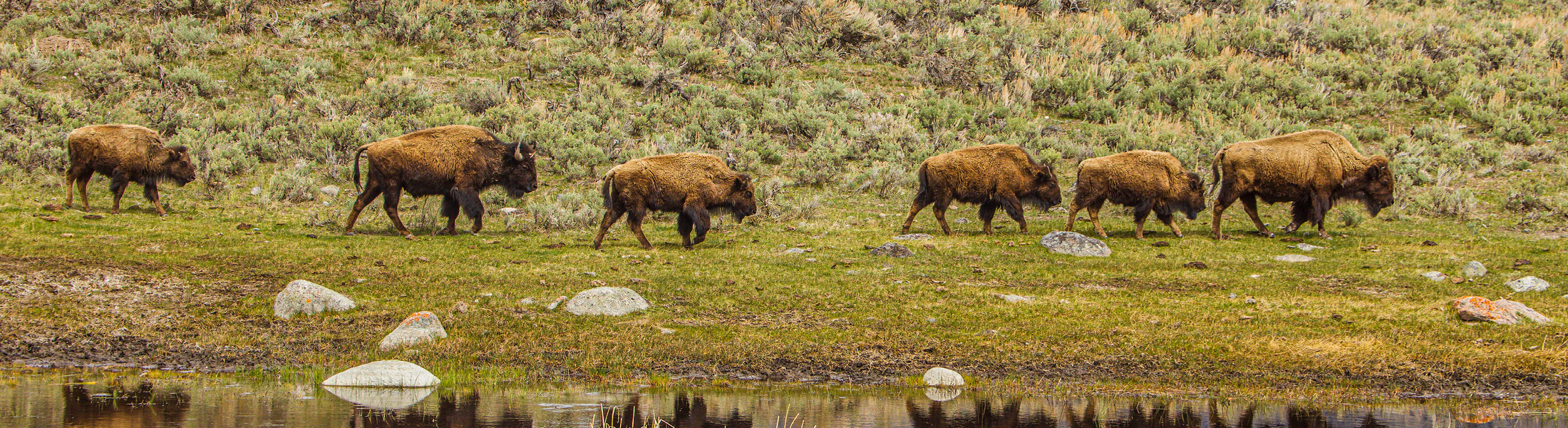 A Naturalist's World