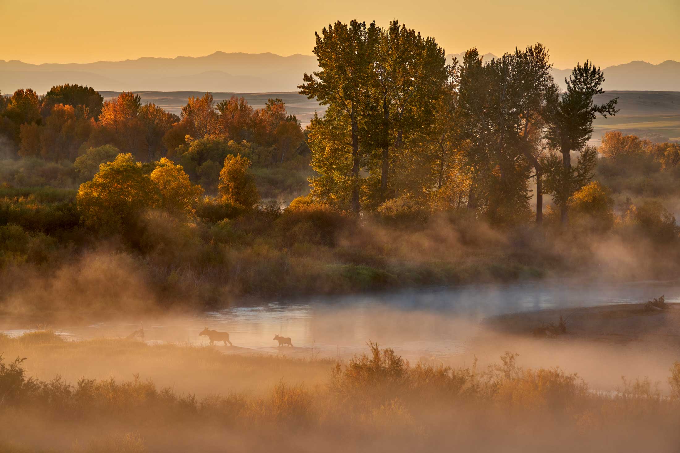 Fall in Yellowstone Country