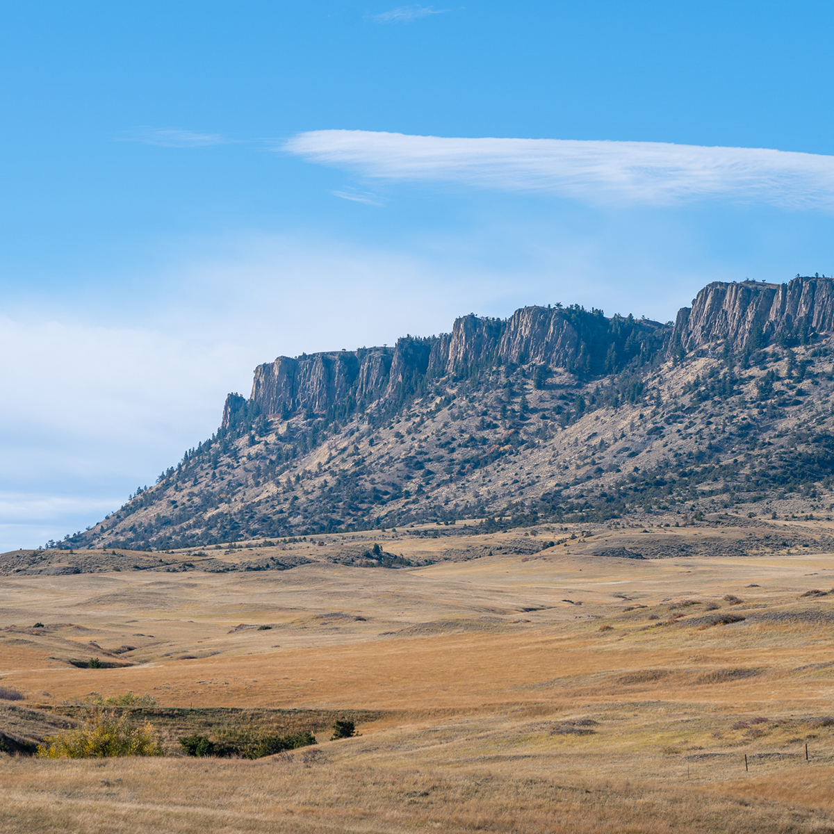 Three Forks to West Yellowstone