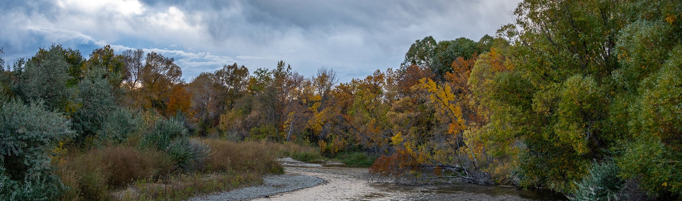 Three Days North of Yellowstone National Park