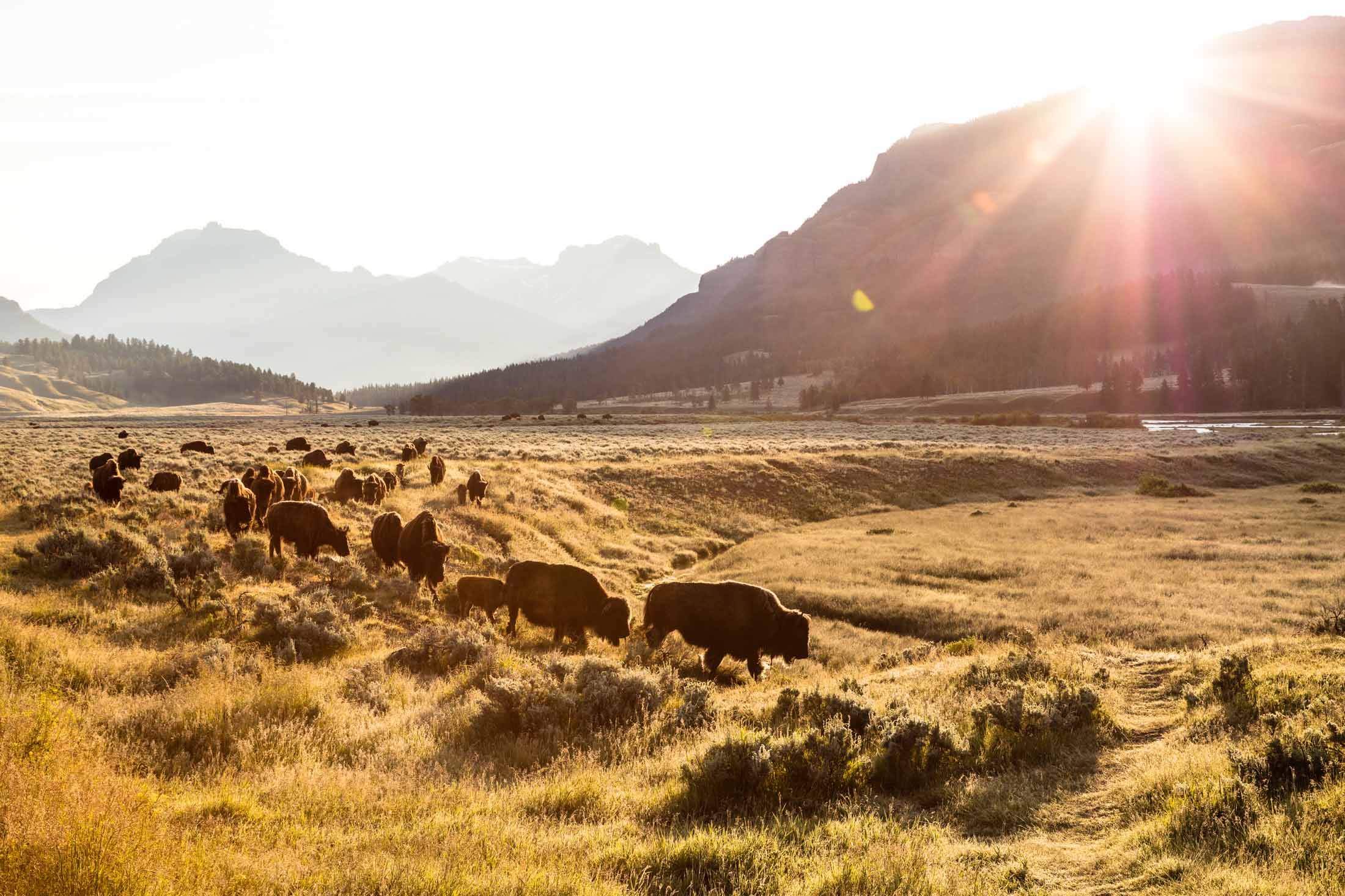 Yellowstone National Park itinerary image